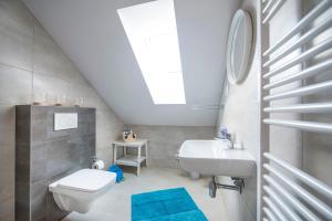 a bathroom with a toilet and a sink and a skylight at Villa Bellevue Wellness in Liptovský Mikuláš +54 photos