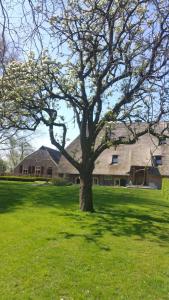 Foto da galeria de landgoed Groot Boerle em Wijhe