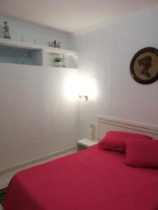Postel nebo postele na pokoji v ubytování Apartment Cristian Sur