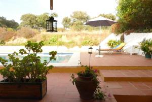 un patio con plantas y una sombrilla junto a una piscina en Tapada do Padre Rosa, en Vila Viçosa