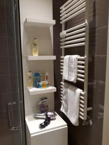 スボティツァにあるApartman Prestige Centerのバスルーム(トイレ、タオル付) +42枚の写真