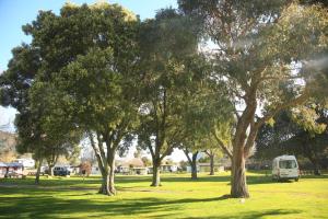 a van parked in a field with trees at Parklands Marina Holiday Park in Picton