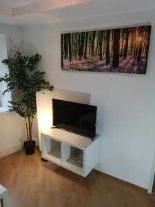 Televízia a/alebo spoločenská miestnosť v ubytovaní Innsbruck Old Town Apartment + 17 fotografií