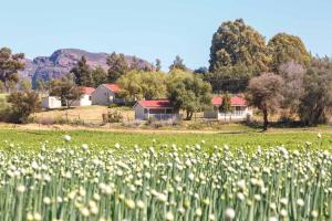 Loodusmaastik apartemendi lähedal