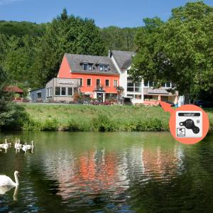 dom i jezioro z łabędzami w wodzie w obiekcie Hotel An der Sauer w mieście Minden