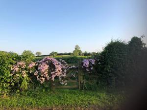 una panchina di legno con dei fiori in un campo di Shirley Lane ad Ashbourne