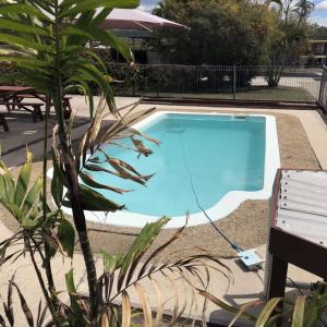 a swimming pool in a yard with a plant at Bororen Hotel Motel in Bororen