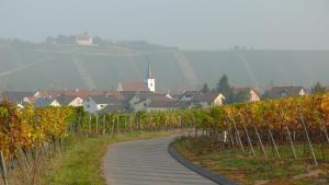 a road through a vineyard with a town in the background at Weingut Herbert Kram in Nordheim