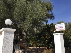 A garden outside Livanina apartments