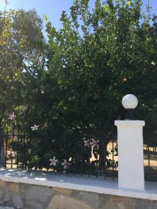 A garden outside Livanina apartments