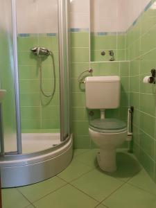 ein grünes Bad mit einem WC und einer Dusche in der Unterkunft Cres view apartments in Cres