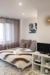 Gallery image of Sunny City Center Apartment in Warsaw