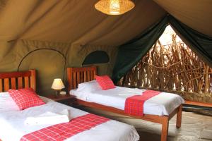 Kidepo Savannah Lodge by NATURE LODGES LTD في Loitanit: غرفة نوم بسريرين في خيمة