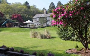 a house with a green yard with a tree with pink flowers at Aberdunant Hall in Porthmadog