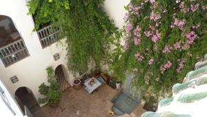 Giardino di Riad Le Coq Berbère