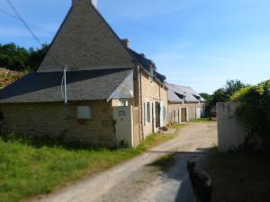 a cat walking down a road next to a building at La Ferme Du Vincin in Vannes