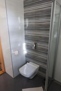 ein weißes WC im Bad mit Dusche in der Unterkunft Quiet & Modern Downtown 1BR, near Bus Station & Airport in Tallinn