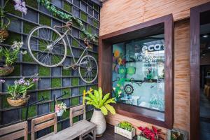 Jízda na kole v ubytování Eco Hostel nebo okolí