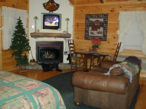 a living room with a couch and a fireplace at Black Forest Bed & Breakfast in Helen