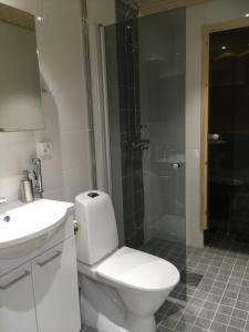 Un baño con inodoro, lavabo y ducha. en Siljo Apartments, en Rovaniemi 12 fotos más