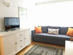 een woonkamer met een bank en een tv bij Splendid Fitzrovia W1 Heart of Central London 1-Bed. Free Wifi in Londen