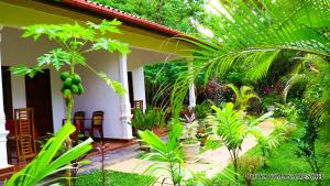 A garden outside Priyavimana resort