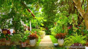 A garden outside Priyavimana resort