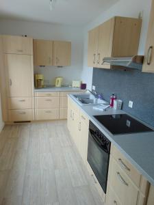 a kitchen with a sink and a stove top oven at Pension "Zur Katze" in Gelenau