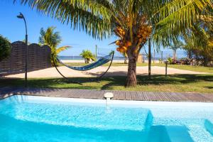 a swimming pool with a hammock and a palm tree at Chalet Cardinal in Riambel