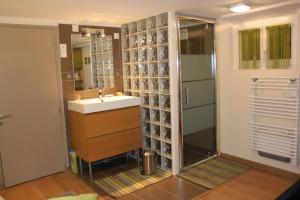 a bathroom with a sink and a shower at Chambre d'hotes Antony in Fresnes