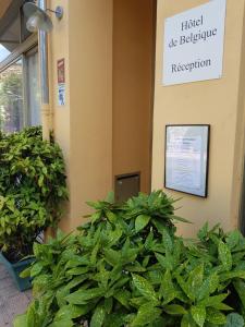 a sign that reads hotel beehivere reception next to plants at Hotel De Belgique à Menton in Menton