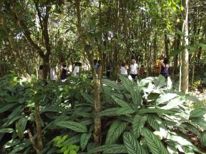 a group of people walking through a forest at Pousada Spa Prana Lorien in Santo Antônio do Leite