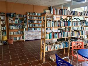 Knihovna v apartmánu