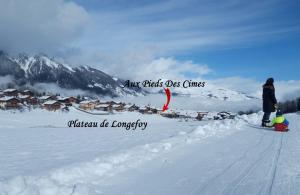 Trượt tuyết gần/tại căn hộ