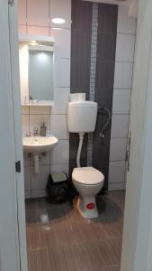 Vonios kambarys apgyvendinimo įstaigoje Loznicki stan na dan