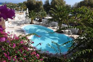 a swimming pool in a resort with palm trees and pink flowers at Arion Bay Hotel Santorini in Kamari