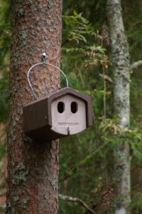 Gallery image of Pullijärve Holiday Park in Misso