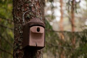 aan de zijkant van een boom is een vogelhuisje bevestigd bij Pullijärve Holiday Park in Misso