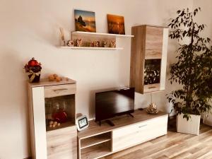 a living room with a flat screen tv and a entertainment center at Ferienhaus Heil in Neustadt an der Weinstraße