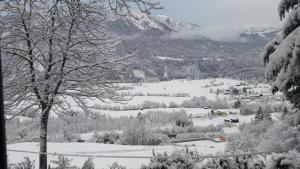 Comfort and Views im Winter