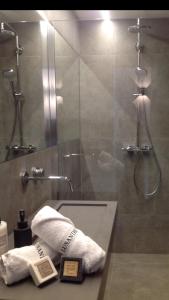een badkamer met een douche en een wastafel met handdoeken bij Lusandre in Olen