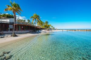 a beach with palm trees and the ocean at Hotel Bakoua Martinique in Les Trois-Îlets