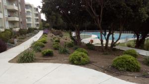 um jardim em frente a um edifício com piscina em Bosque Playa Lomas de Papudo 3 em Papudo