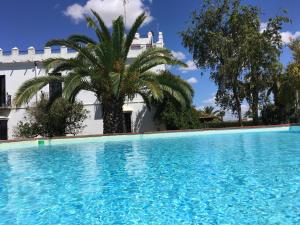 uma piscina em frente a um edifício branco com uma palmeira em Hacienda La Indiana em Los Palacios y Villafranca