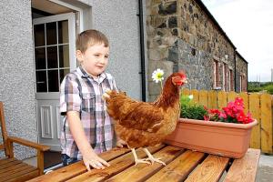 a young boy standing next to a chicken on a table at Aunt Rachel's Cottages-McAllister's Cottage in Bushmills