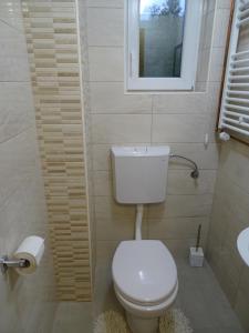 a bathroom with a toilet and a window and a sink at Sobe-Apartmaji-Terapije in Maribor