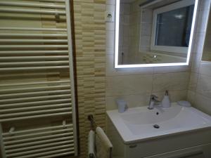 a bathroom with a sink and a shower with a mirror at Sobe-Apartmaji-Terapije in Maribor