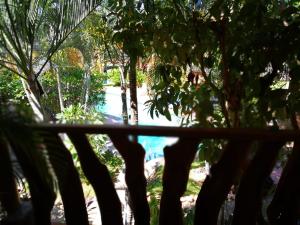 a view of a pool of water through trees at Hotel Casamar Suites in Puerto Escondido