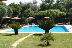 Bazén v ubytování Fiori Hotel nebo v jeho okolí