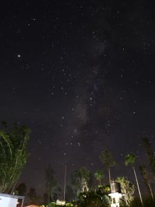 Afbeelding uit fotogalerij van Coorg Kolamotte in Gonikoppal